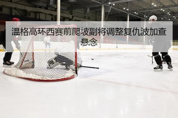 wen-ge-gao-huan-xi-sai-qian-pa-po-fu-jiang-tiao-zheng-fu-chou-bo-jia-cha-xuan-nian-2-350.jpg