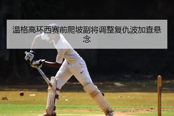 温格高环西赛前爬坡副将调整复仇波加查悬念